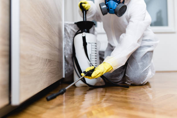 Best Local Pest Control Services  in Crooked River Ranch, OR