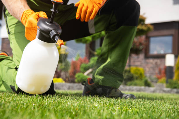 Best Wasp Removal Services  in Crooked River Ranch, OR