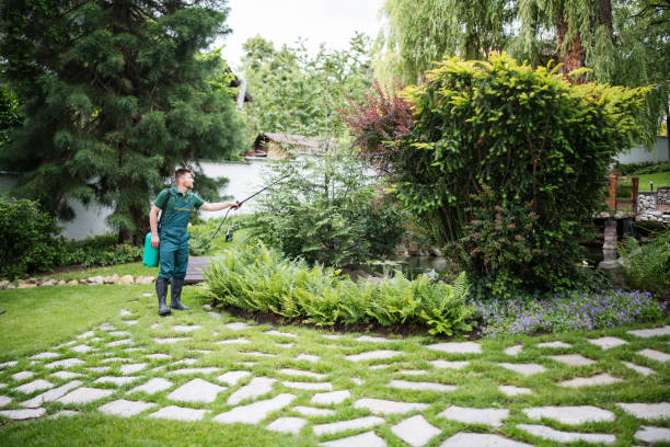 Best Pest Control Near Me  in Crooked River Ranch, OR