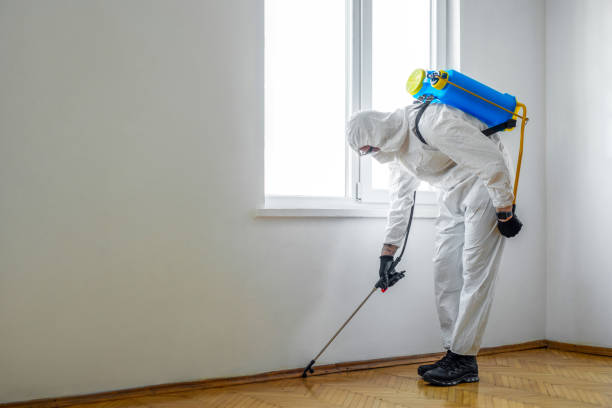 Best Affordable Pest Control Services  in Crooked River Ranch, OR