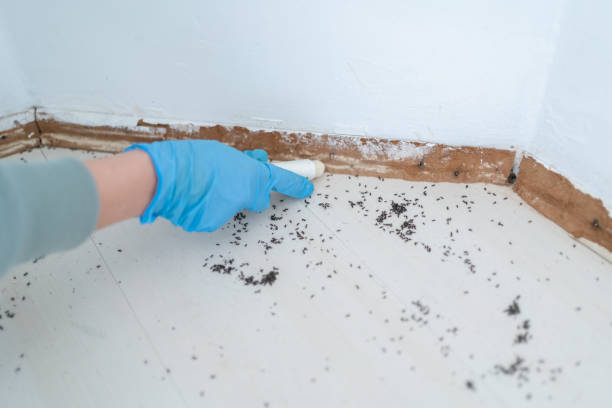 Best Termite Control Services  in Crooked River Ranch, OR